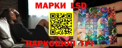 кокс Донской