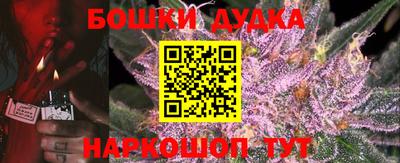 кокс Донской