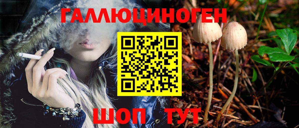 Галлюциногенные грибы MAGIC MUSHROOMS  Вход с VPN  Кингисепп 